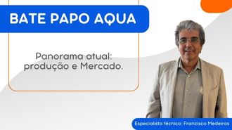 Panorama atual: produção e Mercado.