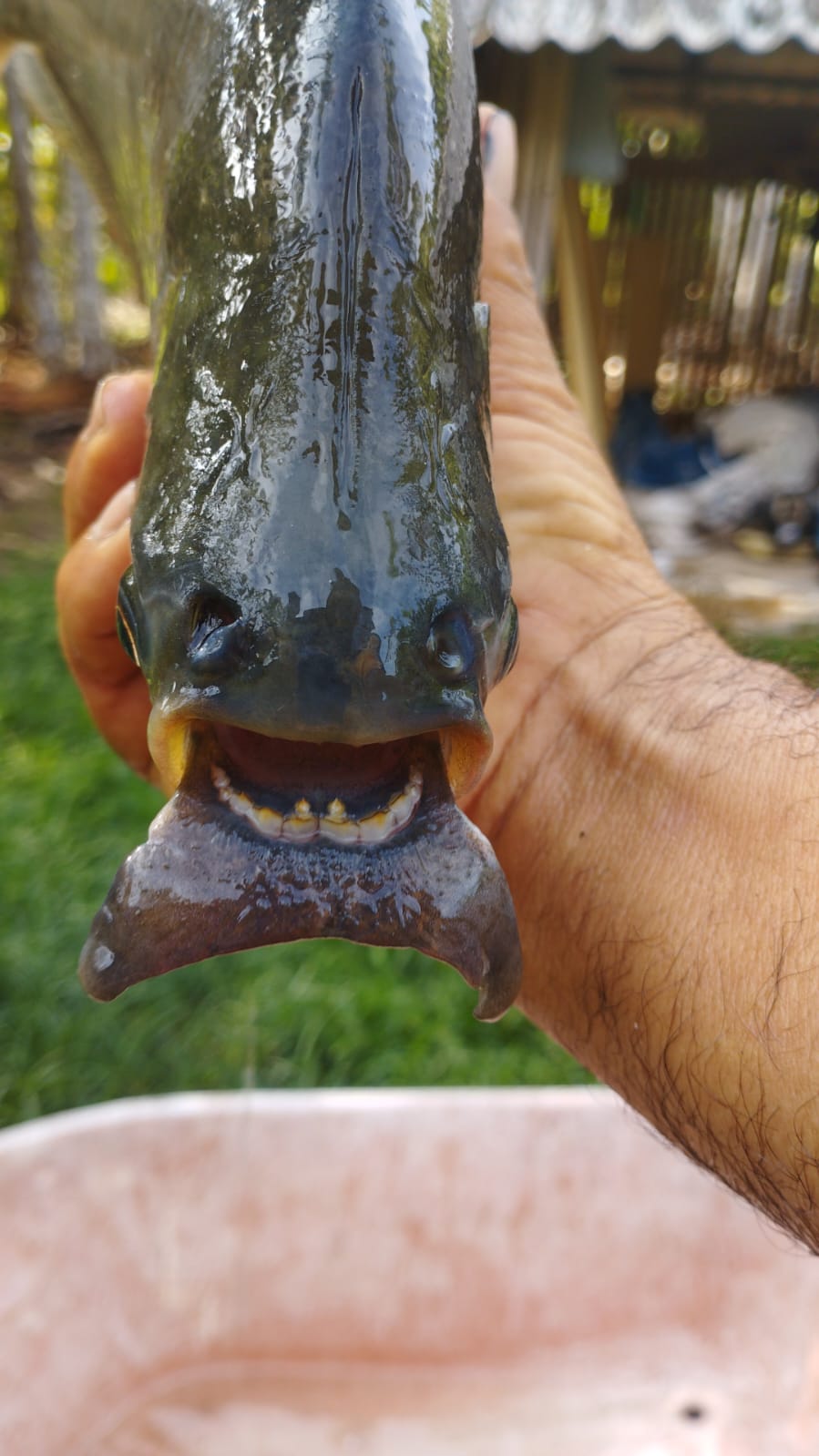 Imagem de Pouco oxigênio