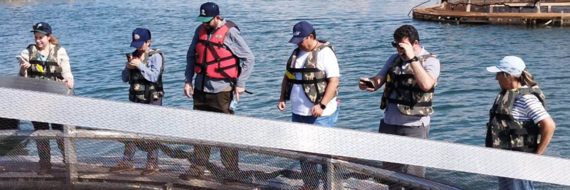 Instituto de Pesca de SP avalia uso de tanques-rede de grande volume na piscicultura continental