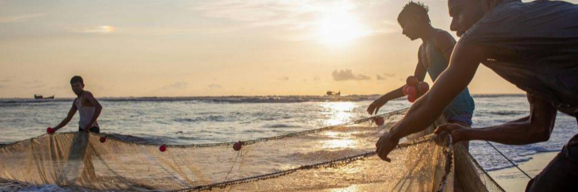 Implementação do Selo da Pesca Artesanal do Brasil ganha novos avanços