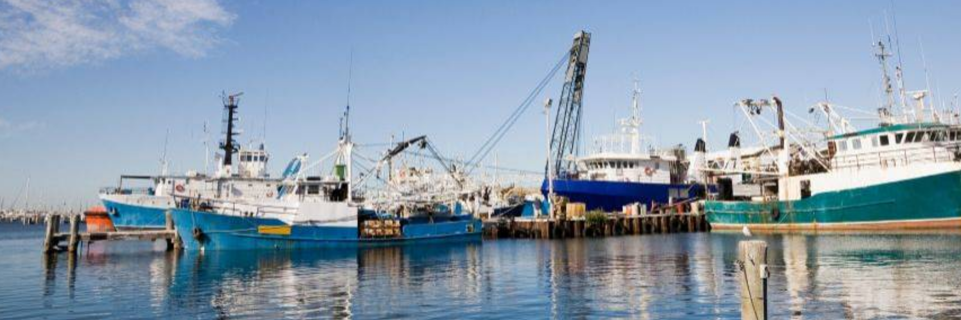 MPA passa a emitir certificado exigido pelos EUA para pescado